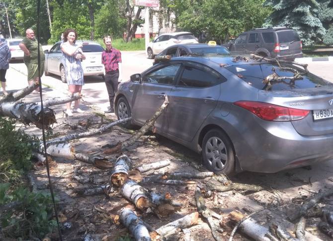 В Клинцах из-за бездействия мэрии дерево упало на машину