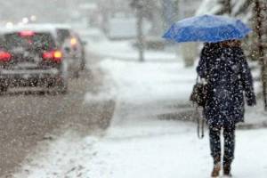 Брянскую область 29 декабря снова ожидает мокрый снег