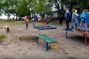 В Брянске собачницы загнали детей на теннисный стол