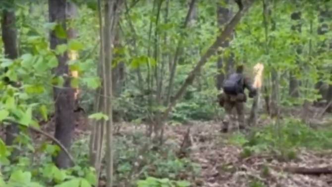 Украинских боевиков задержали при поджоге лесов на границе Брянской области