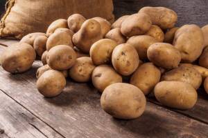 Губернатор Богомаз объяснил отсутствие брянского картофеля в магазинах