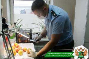 На Брянщину не пустили 8 тонн зараженных персиков из Турции