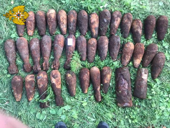 Под Брянском в лесу нашли 25 мин и 2 артиллерийских снаряда