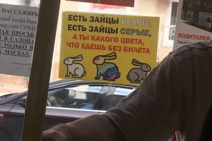 Безбилетников в брянских автобусах назвали «радужными» зайцами