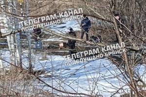 В брянском посёлке Путёвка обнаружили труп