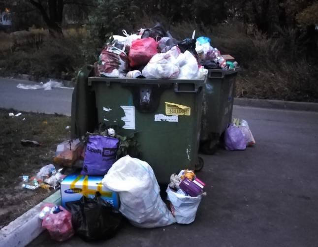 В Брянске выросла мусорная свалка возле детского реабилитационного центра