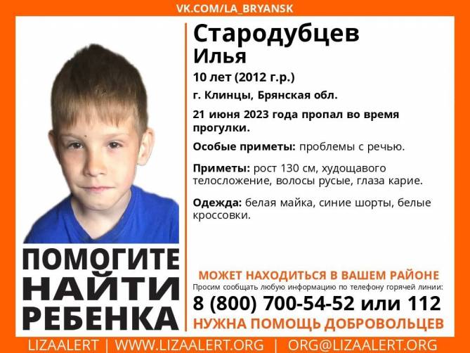 В Брянской области нашли живым пропавшего 10-летнего Илью Стародубцева