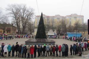 В Брянске открыли первую новогоднюю елку