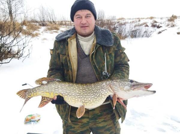Платная рыбалка в Калужской области, платные пруды Калуги