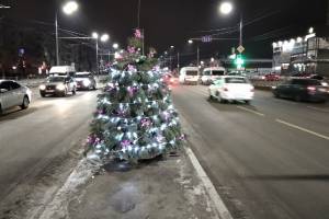 В Брянске посреди дороги выросли новогодние елки