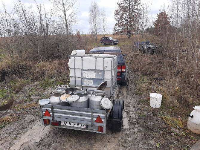 В Карачевском районе в озеро запустили 470 кг мальков карпа