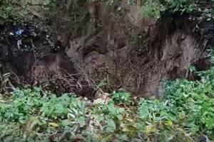 В брянском парке «Лесные сараи» появился гигантский провал