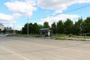 В Брянске при расширении улицы Крахмалева пришлось спилить 12 деревьев