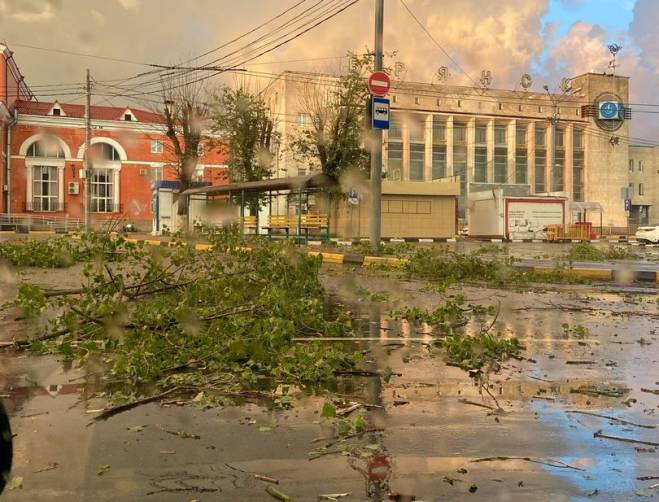 Площадь перед вокзалом Брянск-Орловский завалило буреломом