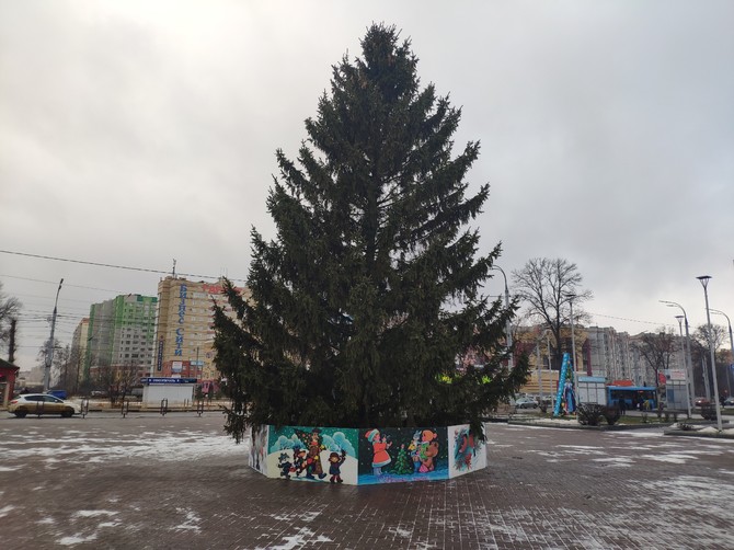 В Брянске на Кургане Бессмертия установили новогоднюю елку