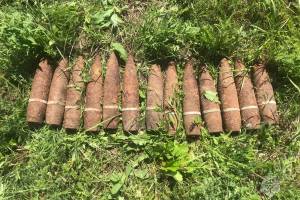 Под Севском обнаружили 13 снарядов и мину