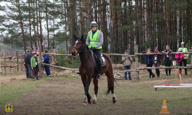 В Брянске назвали победителей турнира по конному туризму