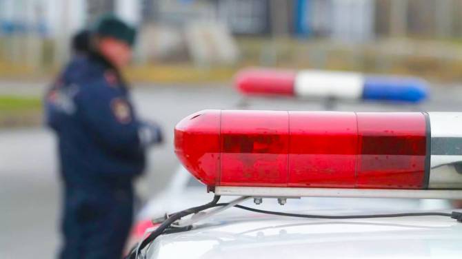 В Брянской области осудят москвича за гибель в ДТП 8-летней школьницы