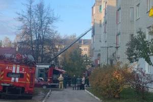 В Брянске из горящей квартиры спасли 4 человек