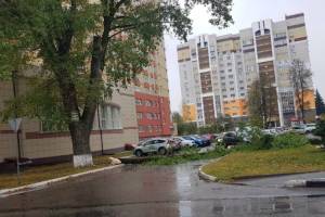 В Брянске проезд к домам на улице Крахмалева перегородило упавшее дерево