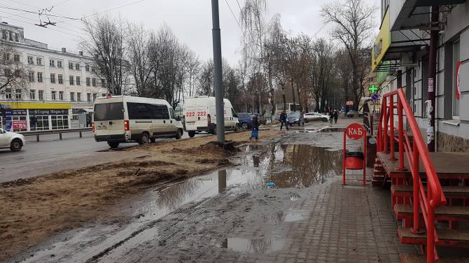 Брянскому губернатору рассказали о непролазной грязи на Полтиннике