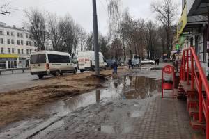 Брянскому губернатору рассказали о непролазной грязи на Полтиннике