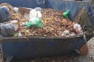 В Брянске дворники захламили листвой мусорные контейнеры