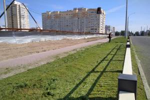 В Брянске начали косить траву вдоль новой дороги по улице Советской