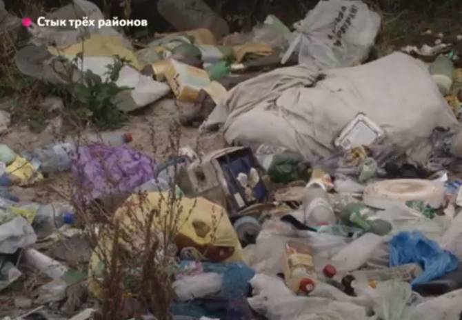 В Брянске дачники садового общества «Дормаш» погрязли в мусоре