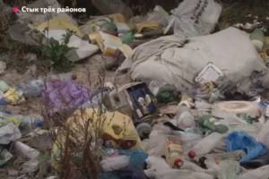 В Брянске дачники садового общества «Дормаш» погрязли в мусоре
