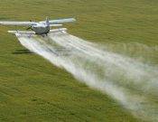 Брянские предприятия наказали за применение пестицидов