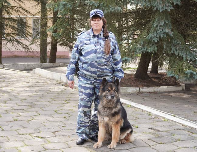 В Брянске овчарка помогла полицейским найти тайник с оружием и боеприпасами