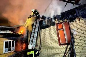 С начала года в Брянской области на пожарах погибли 27 человек