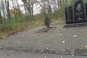 В Клинцах заметили грязь и мусор на воинском мемориале