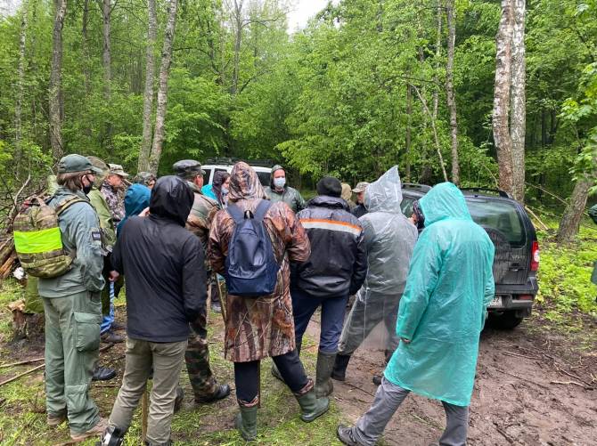 В Брянской области в мае разыскали 18 пропавших людей