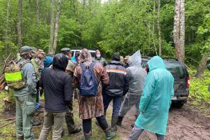 В Брянской области в мае разыскали 18 пропавших людей