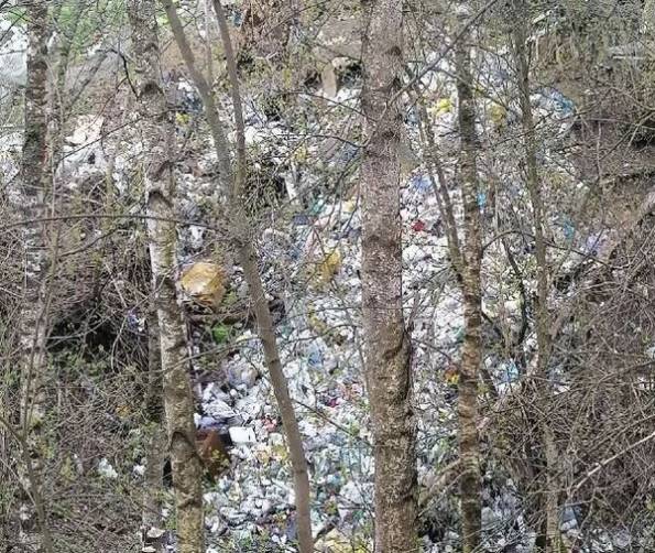 В брянской деревне Антоновка сняли на фото мусорный апокалипсис