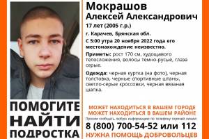 В Брянской области нашли погибшим пропавшего 17-летнего Алексея Мокрашова