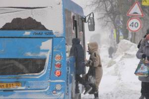 В Брянске насчитали 96 троллейбусов и 265 автобусов