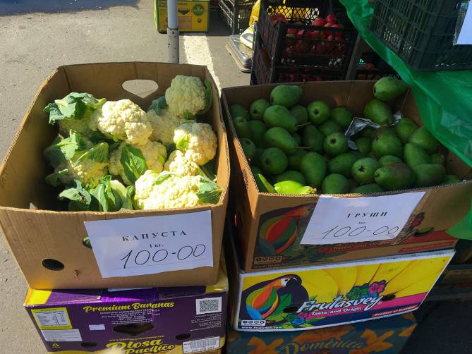 Брянцы за первый день работы ярмарок купили 22,9 тонн овощей и фруктов