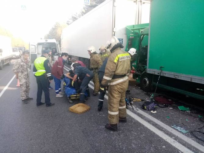 Под Брянском столкнулись два грузовика: ранен водитель