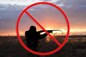 В Брянской области запретили охоту у границы
