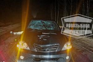 На брянской трассе водитель Kia насмерть сбил пешехода