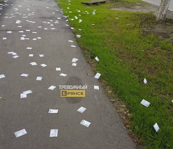 В Брянске рекламные листовки разбросали по тротуару