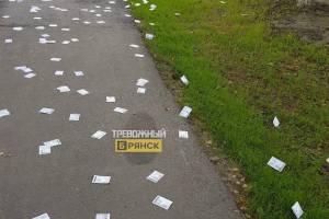В Брянске рекламные листовки разбросали по тротуару