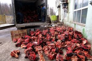 В Брянской области уничтожили 22 тонны говяжьих голов