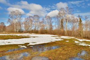 В Брянской области 21 марта ожидается до +14 градусов