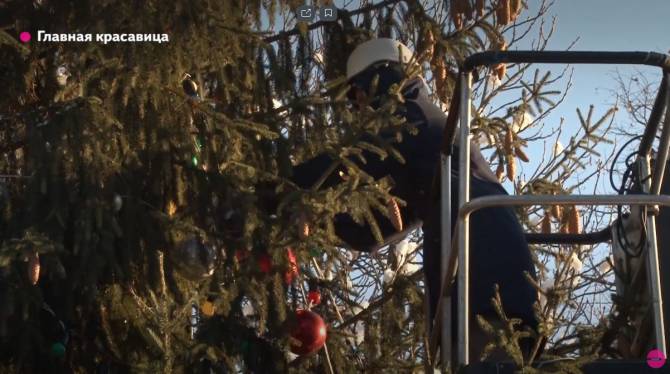 В Брянске сняли на видео украшение главной новогодней елки