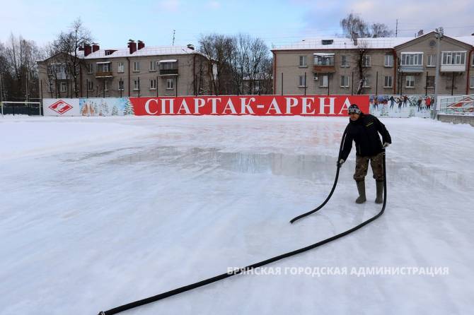 Нынешней зимой в Брянске подготовят 97 спортивных объектов для любителей активного отдыха