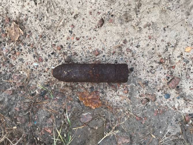 В лесу под Брянском нашли артиллерийский снаряд